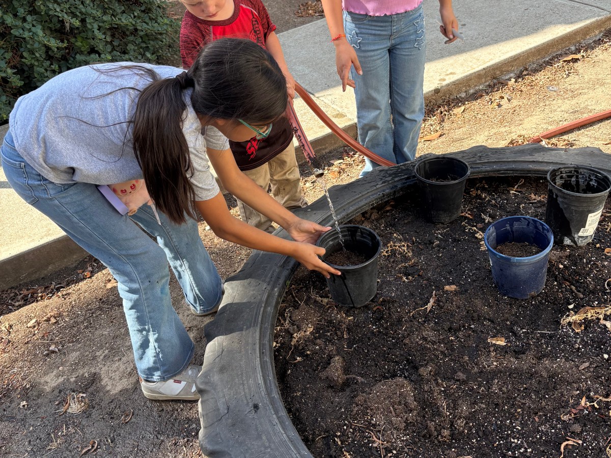 Farmington Elementary School planting&nbsp;Irises