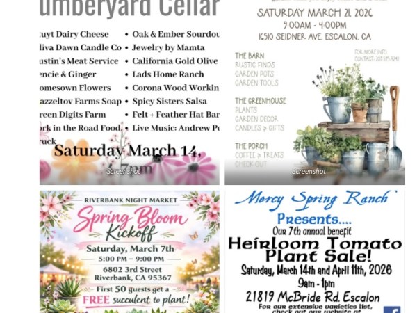 Interesting Nearby Events –&nbsp;March