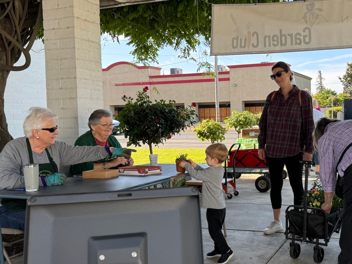 April 18 – Plant&nbsp;Sale