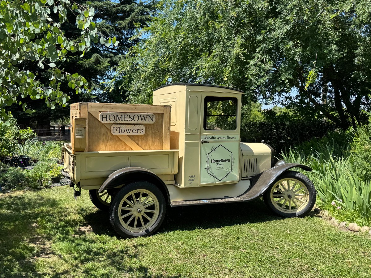 May 7 – At Amanda’s farm (HomeSown Flowers), Taco Truck for&nbsp;snacks.